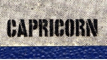 capricornロゴ.jpg